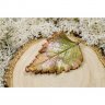 Birch Brooch