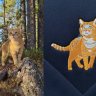 Embroidering your cat Hoodie