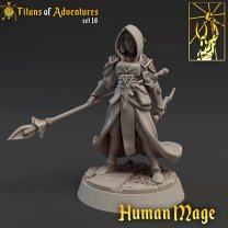 Woman magician with staff and sword Figure (Unpainted)