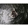 Phantom In Silver Pendant Necklace