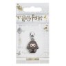 The Carat Shop Harry Potter - Hagrid Slider Charm