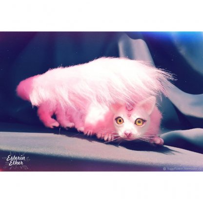 Caterpillar Cat Plush Toy