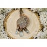 Shell Pendant Necklace