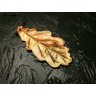 Golden Oak Leaf Pendant Necklace