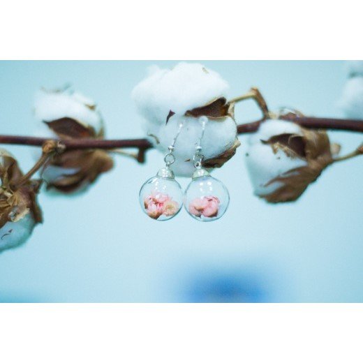 Pink Transparency Earrings