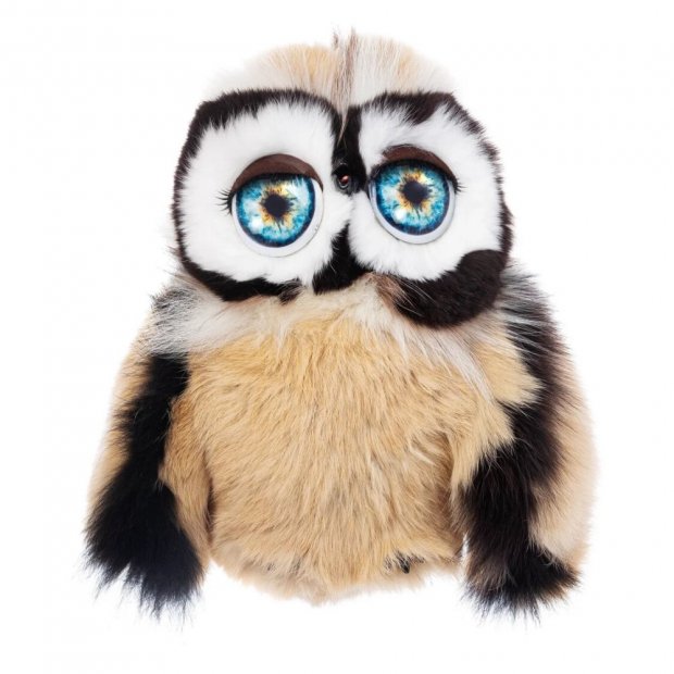 Big Eyed Owl (23 cm) Plush Toy