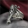 Shield of Tanata Ring