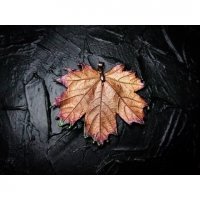 Ginger Maple Leaf Pendant Necklace