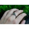 Fluffy Xanthoria Ring
