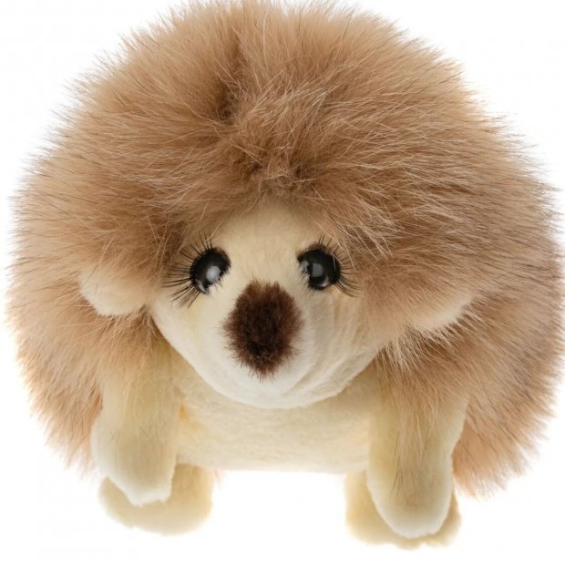 Hedgehog (23 cm) Plush Toy