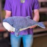 Whale Plush Toy