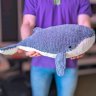 Whale Plush Toy