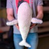 Whale Plush Toy