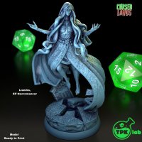 Liandra - Elf Necromancer Figure (Unpainted)