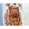 Hedgehog Mug With Decor