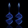 DNA Earrings