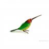 Hummingbird V.2 Figure