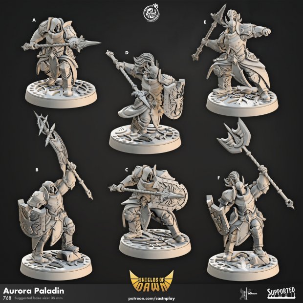 Aurora Paladin Figure (Unpainted)