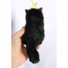 Black Cat With Rose (11 cm) Plush Toy