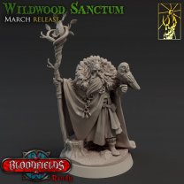 Forest wizard with an owl Figure (Unpainted)