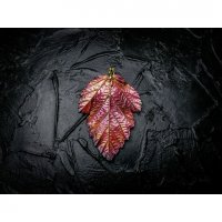 Scarlet Physocarpus Opulifolius Pendant Necklace
