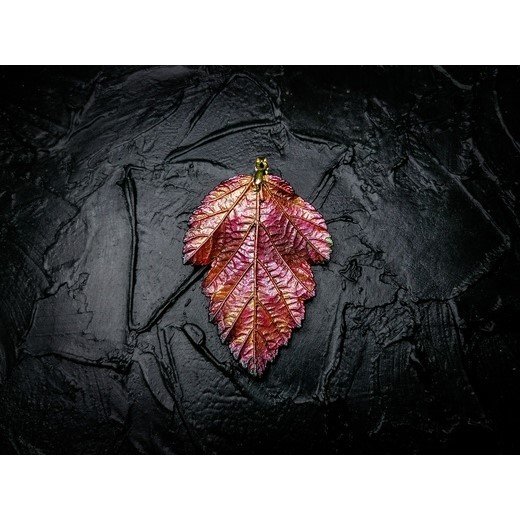 Scarlet Physocarpus Opulifolius Pendant Necklace