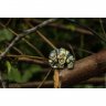 Olive Elephant Pendant Necklace