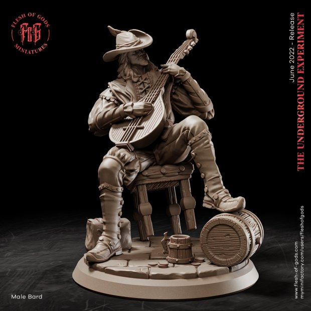 Male Bard Figure (Unpainted)