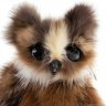 Owlet (25 cm) Plush Toy