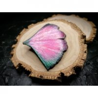 Mysterious Ginkgo Brooch