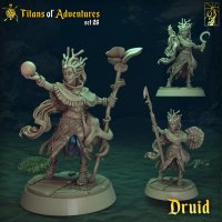 Druid Velshein Figure (Unpainted)