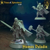 Old Human Paladin Figure (Unpainted)