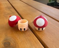 Mushroom Keychain and box