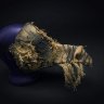 Forgotten Mask
