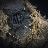 Forgotten Mask