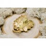 Oak Branch Brooch