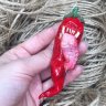 Hot Pepper Brooch