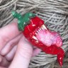 Hot Pepper Brooch