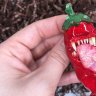 Hot Pepper Brooch