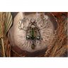 Spring Moth Necklace