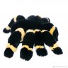 Spider (40 cm) Plush Toy