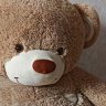 Bear Plush Toy (Big Size)