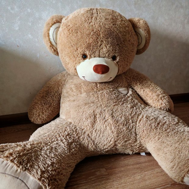 Bear Plush Toy (Big Size)