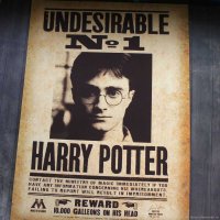 Handmade Harry Potter - Undesirable Person Poster