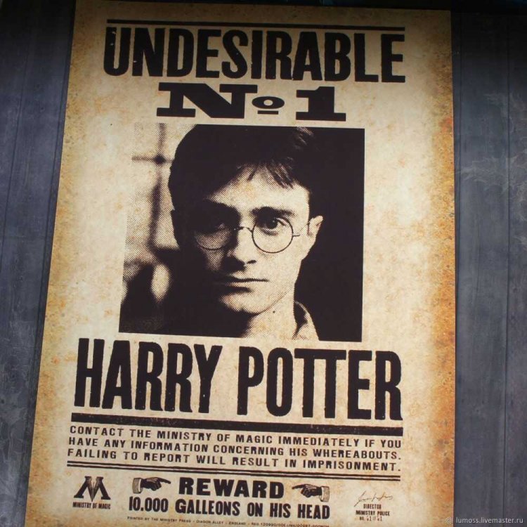 Harry Potter - Undesirable Person Poster