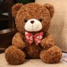 Teddy Bear Plush Toy (Dark Brown)