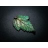 Spring Physocarpus Opulifolius Pendant Necklace
