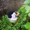 Junji Ito Collection Plush Toy 3