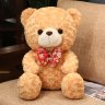Teddy Bear Plush Toy (Light Brown)