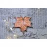 Red Maple Brooch